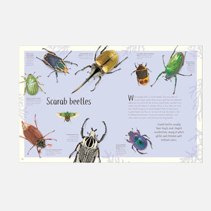 An educational poster about scarab beetles, featuring detailed illustrations of various scarab species on a pale lavender background with decorative leaf borders.