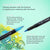 Aqua Brush Duo | 24