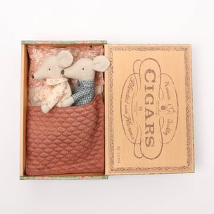 Grandma and Grandpa Mice in Cigar Box