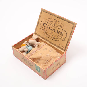 Mum & Dad Mouse in Cigar box