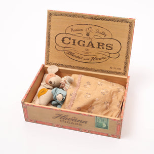 Mum & Dad Mouse in Cigar box