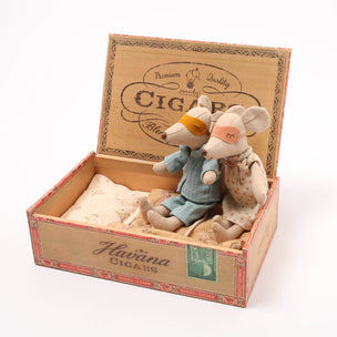 Mum & Dad Mouse in Cigar box