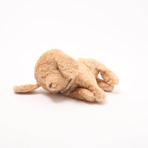 Puppy Small | Dusty Powder