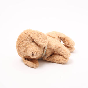 Puppy Small | Dusty Powder