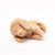 Puppy Small | Dusty Powder