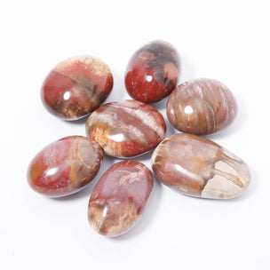 Petrified wood palm stone | © Conscious Craft