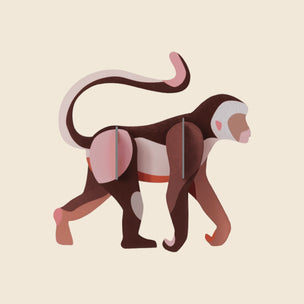 Wild Animals Wall Art | Monkey