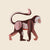 Wild Animals Wall Art | Monkey