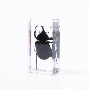 Natura Toys Unicorn Beetle | Conscious Craft