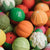 Baby Sensory Ball Veggie Salad
