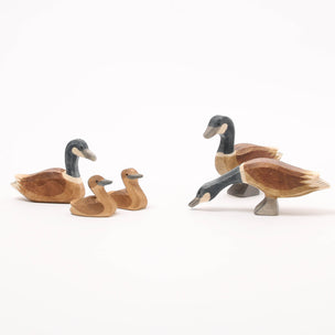Ostheimer Canada Geese family, Wild Animals of the World | Image ©️ Conscious Craft