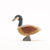 Ostheimer Canada Goose standing | Image ©️ Conscious Craft