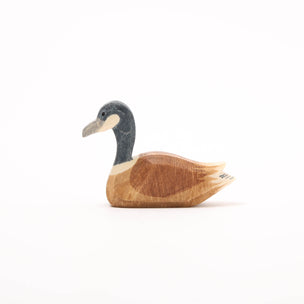 Ostheimer Canada Goose swimming | Image ©️ Conscious Craft