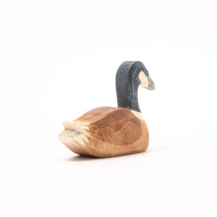 Ostheimer Canada Goose swimming | Image ©️ Conscious Craft