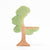 Ostheimer Eucalyptus Tree