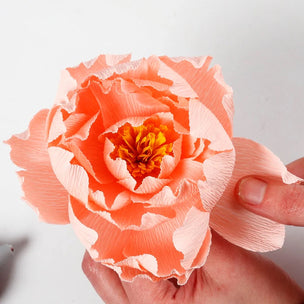 Mini Craft Kit Paper Peony | Conscious Craft