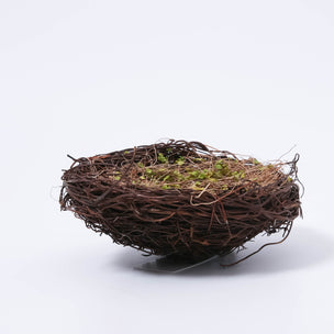 Natural Nest With Grass | Medium