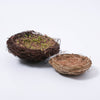 Natural Nest With Grass | Small & Medium