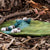 Tara Treasures | River Round Play Mat Playscape
