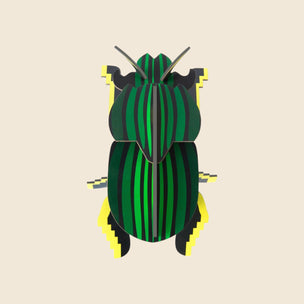 Scarab Beetle