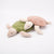 Turtle Small | Fir Green