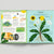 Open book showing a detailed illustration of a dandelion plant with text on a light gray background