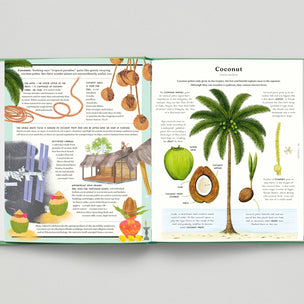 Open book showing a page about coconuts with illustrations and text.