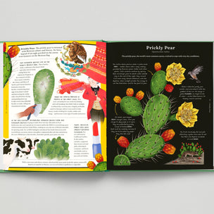 Open book with illustrations of a prickly pear cactus and related images on a gray background