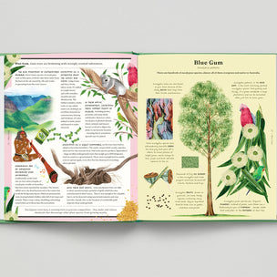 Open book showing illustrations of a tree and birds on a gray background