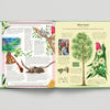 Open book showing illustrations of a tree and birds on a gray background