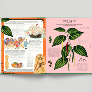 Open book with illustrations and text on black pepper and ancient Egypt