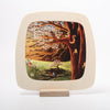 Toverlux Santa Cruz | April | Image © Conscious Craft