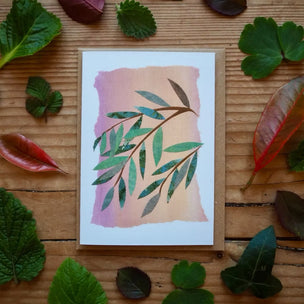 Willow notecard