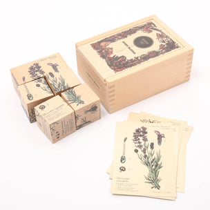 Wooden Story Puzzle Blocks, Melliferous Plants | Image ©️ Conscious Craft