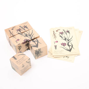 Wooden Story Puzzle Blocks, Melliferous Plants | Image ©️ Conscious Craft