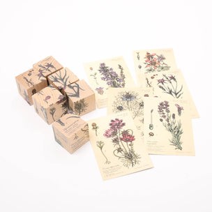 Wooden Story Puzzle Blocks, Melliferous Plants | Image ©️ Conscious Craft