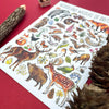 Woodland Wildlife | Postcard