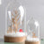 Wooden Deco Set | Small Forest Animals | Conscious Craft