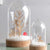 Wooden Deco Set | Large Forest Animals | Conscious Craft