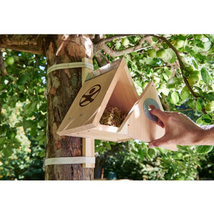 Bird Nesting Box Kit