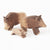 Wild Boar Family from Ostheimer
