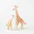 Giraffe & Young from Ostheimer