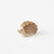 Small Hedgehog from Ostheimer
