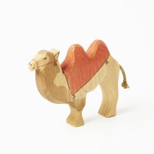 Camel with saddle