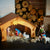 Nativity Set