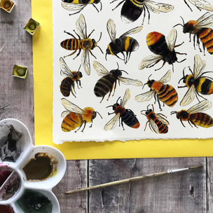 Bees of Britain | Wrapping Paper | Conscious Craft