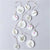 Pressed Flower | Cypress Vine | Conscious Craft
