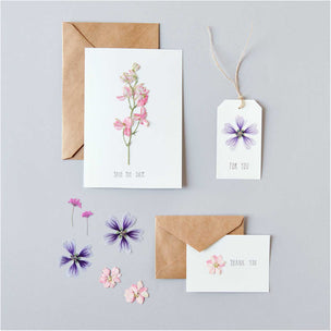Pressed Flower Set | Pink Violet