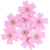 Felt Cherry Blossoms | Dark Pink & Gold