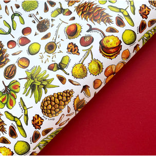 Nuts & Seeds of Britain | Wrapping Paper Sheets | Conscious Craft